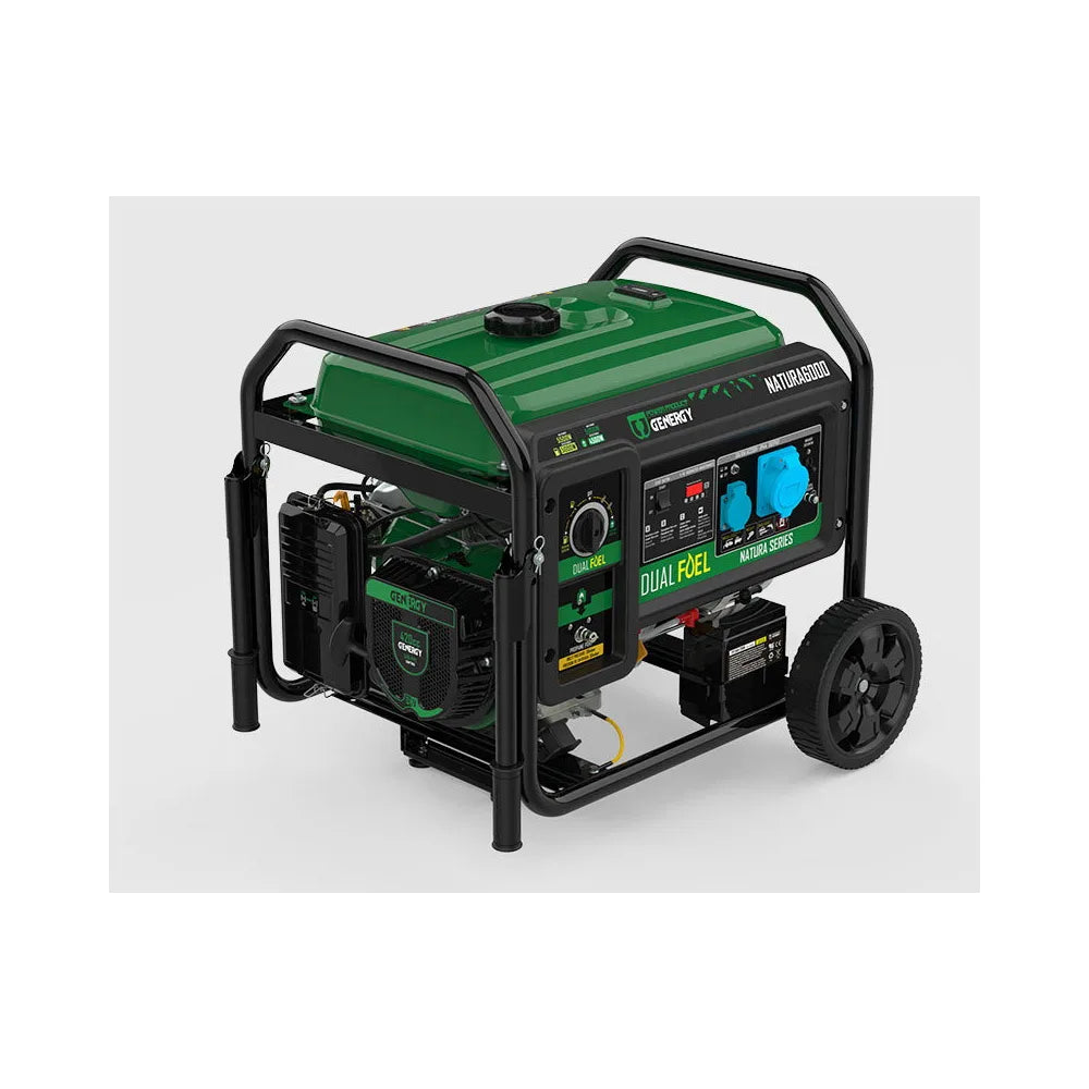 Generador Eléctrico a Gasolina Monofásico 5500 W Doble Combustible Genergy - Vista 5