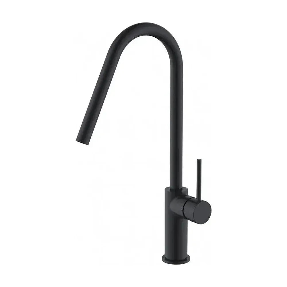 Grifo de cocina monomando negro mate Kenia de Imex Imex