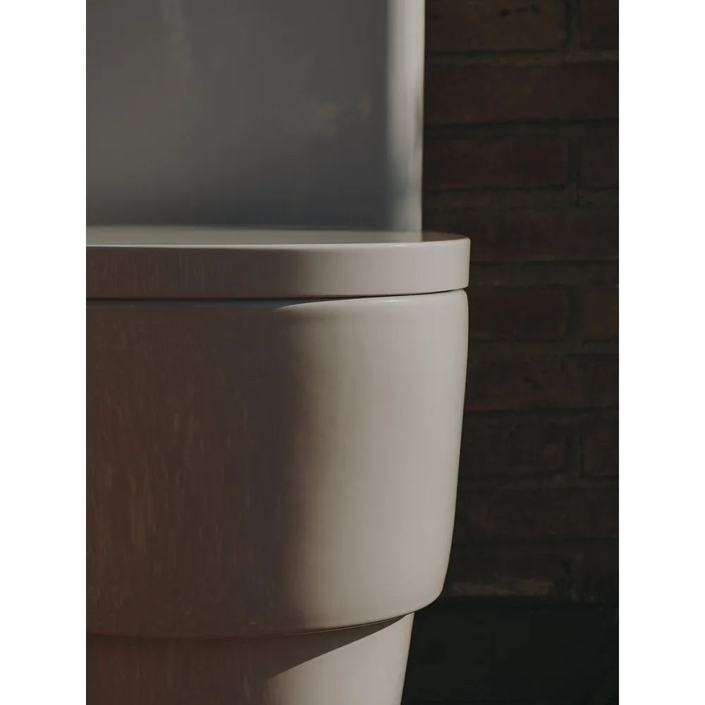 Taza Adosada a Pared con Salida Dual para Inodoro Tanque Bajo 37x62x76cm Roca - Vista 5