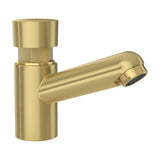 low-arc basin faucet with timer push button matte gold PVD protection Navia by Valaz